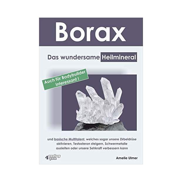 Buch Borax Das wundersame Heilmittel
