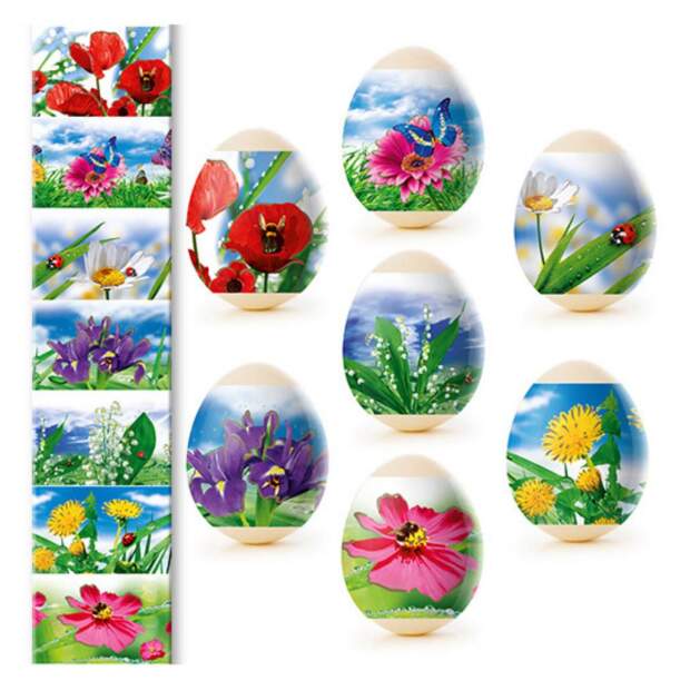 Ostereier Schrumpffolie Thermofolie für Ostereierdekor, für 7 Eier Wildblumen