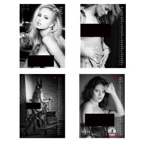 Hot Stuff Kalender 2027 - Erotik Girls Wandkalender DIN...