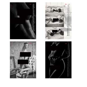 Hot Stuff Kalender 2027 - Erotik Girls Wandkalender DIN A4 | Jens Brüggemann