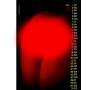 Kalender 2026 - Porno Girls: Grenzenlose Lust in exklusiven Motiven (Erotikkalender, DIN A4)