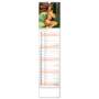 Erotikkalender Sexy Spicy Girls 2024, Kalender mit Frauen und für Notizen 12 × 48 cm