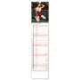 Erotikkalender Sexy Spicy Girls 2024, Kalender mit Frauen und für Notizen 12 × 48 cm