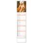 Erotikkalender Sexy Spicy Girls 2024, Kalender mit Frauen und für Notizen 12 × 48 cm