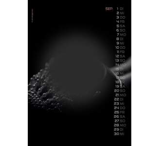 Erotik Kalender 2026 Sexy Backside Wandkalender DIN A3