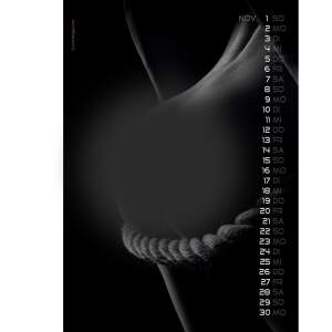 Erotik Kalender 2026 Sexy Backside Wandkalender DIN A3