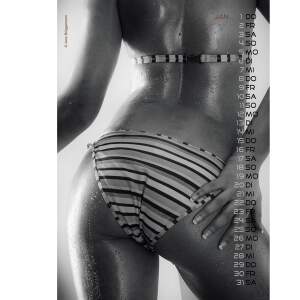 Erotik Kalender 2026 Sexy Backside Wandkalender DIN A3