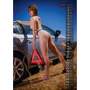 Cars & Girls Kalender 2024 Erotikkalender DIN A3