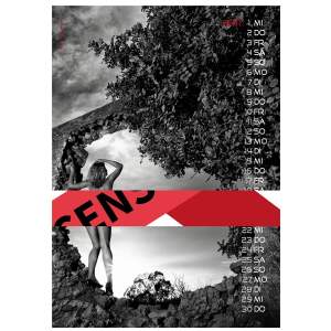 Bad Backsides Girls Kalender 2027 - Erotik Wandkalender DIN A3 | Jens Brüggemann