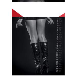 Bad Backsides Girls Kalender 2027 - Erotik Wandkalender DIN A3 | Jens Brüggemann