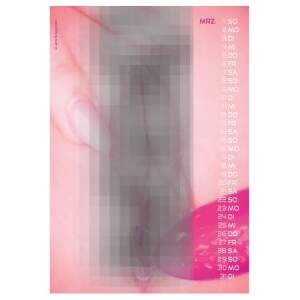 Kalender 2026 - Girls with Toys: Frauen freizügig (Erotikkalender, DIN A4)