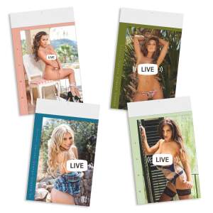 Erotik Kalender Pin-up Girls 2026 Wandkalender 47,8 x...