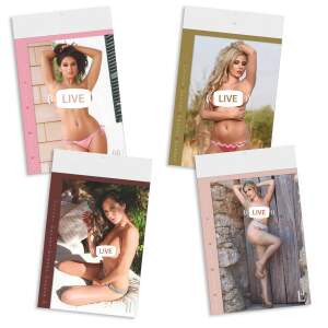 Erotik Kalender Pin-up Girls 2026 Wandkalender 47,8 x 29,7 cm