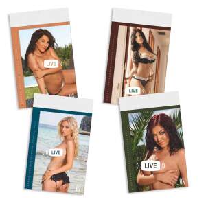 Erotik Kalender Pin-up Girls 2026 Wandkalender 47,8 x 29,7 cm