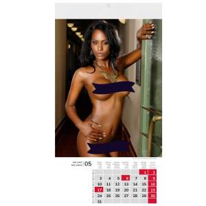 Girls Kalender Eva 2027 – Erotik Wandkalender – 41,0 × 22,5 cm | Tom Rider