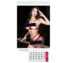 Girls Kalender Eva 2027 – Erotik Wandkalender – 41,0 × 22,5 cm | Tom Rider