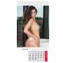 Girls Kalender Eva 2027 – Erotik Wandkalender – 41,0 × 22,5 cm | Tom Rider