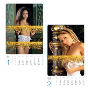 Super Girls Kalender 2027 – Erotik Wandkalender 31,5 x 47,5 cm | Tom Rider