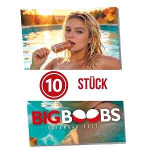 PIN-UP Big Boobs Sexy Girls Kalender 2027 –...