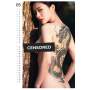 PIN-UP Tattoo Girls Kalender 2027 – 10er-Bündel | Erotik Wandkalender