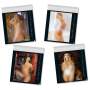Hot Girls Kalender 2027 - Erotik Frauen Wandkalender - 38 x 32,5 cm