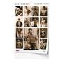 Erotik-Kalender Magic Man 2027 – Männer-Wandkalender 45 × 32 cm