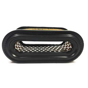 Luftfilter Kompatibel für Tecumseh BVL BVL 198 VLV...