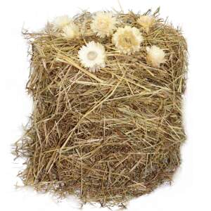 Ostergras Spreewald-Heu-Stroh 150 g + 7 Stroh-Blumen