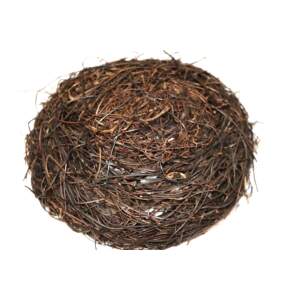 Vogelnest aus dünnem Reisig Ø 20 cm – Handgefertigtes Deko-Nest für Frühling & Ostern