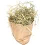 Ostergras Spreewald Heu 50 g – Bastelgras & Naturfasern