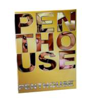 Penthouse silber